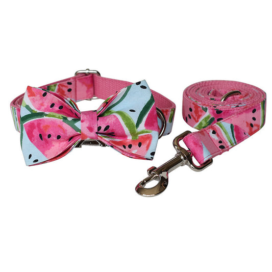 Dog Collar Pet Leash set