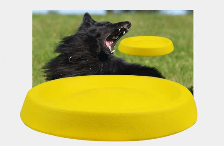 Durable Throwing Toy for Dogs