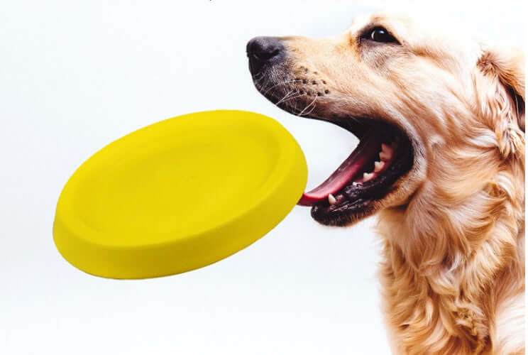 Durable Throwing Toy for Dogs